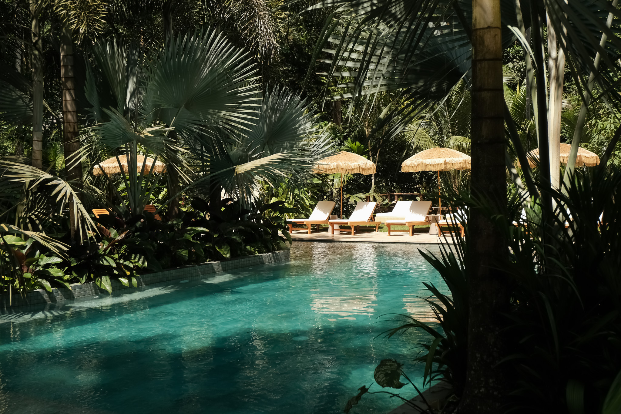 Isla Clara Hero Background