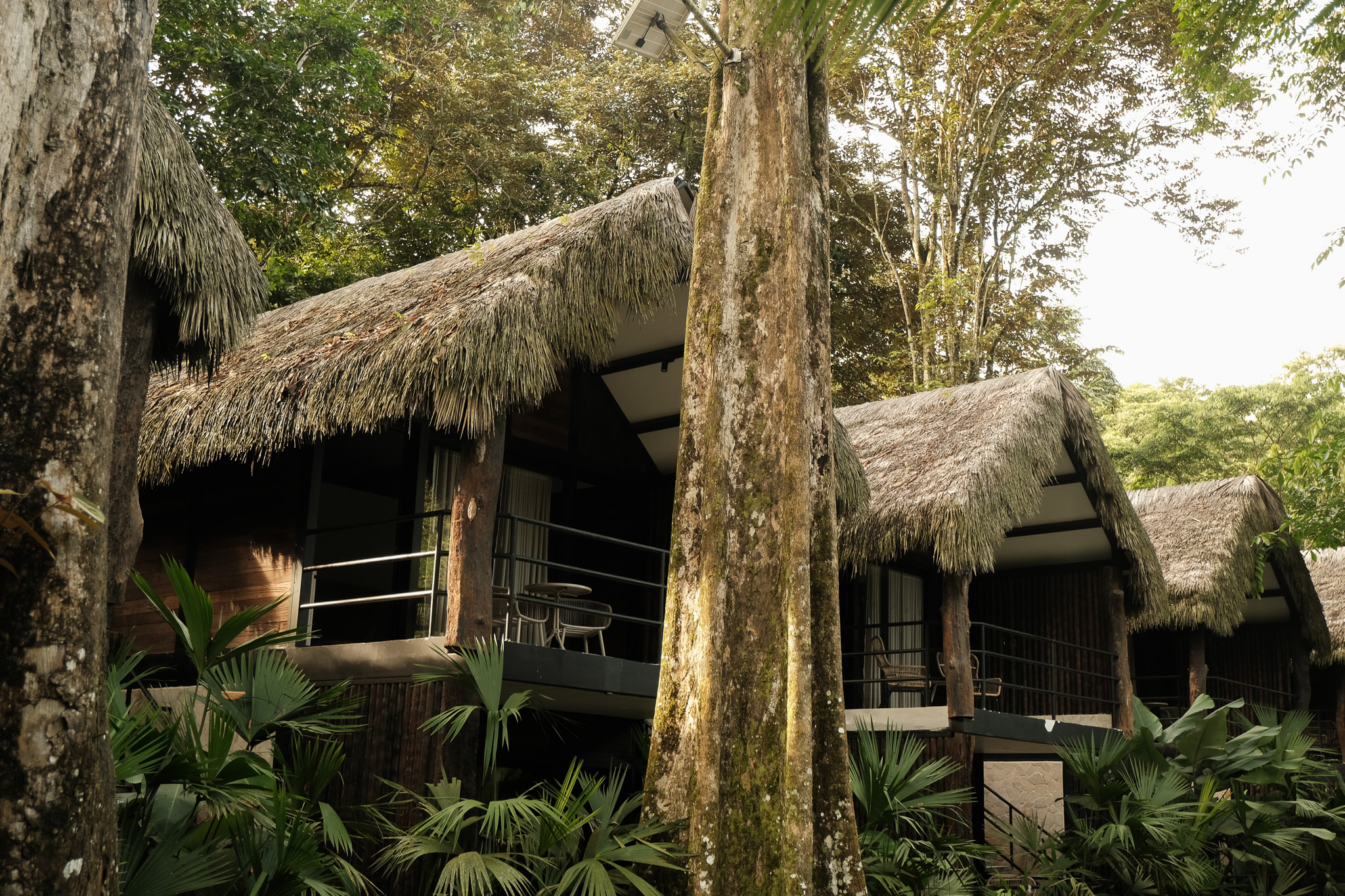 Isla Clara Hero Background